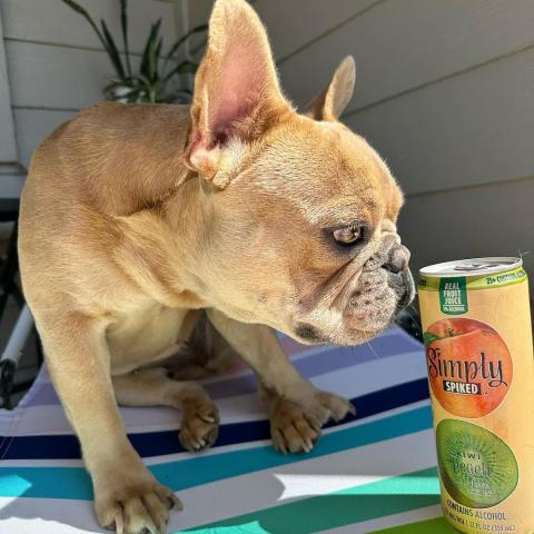 We’ll have what she’s having 🍑🥝
📸: @missfrenchkiwi